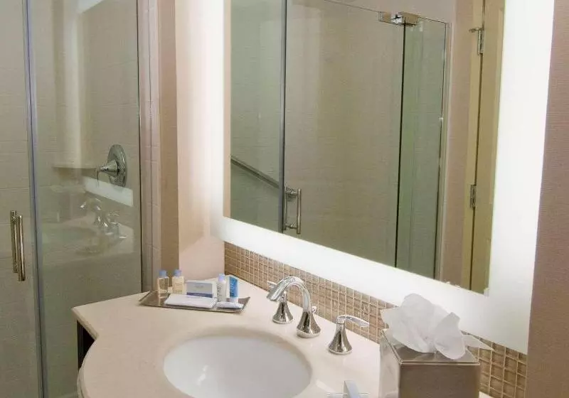 اتاق استاندارد با تخت بزرگ, Doubletree By Hilton  Sterling  Dulles Airport