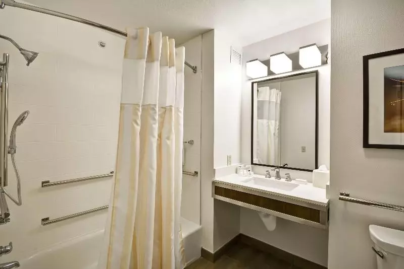キングサイズベッドのスタンダードルーム, Hilton Garden Inn Austin/round Rock