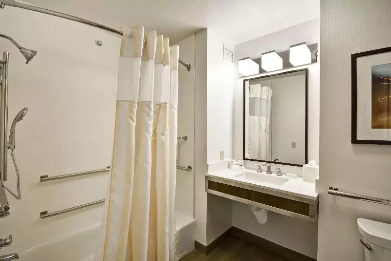 キングサイズベッドのスタンダードルーム, Hilton Garden Inn Austin/round Rock