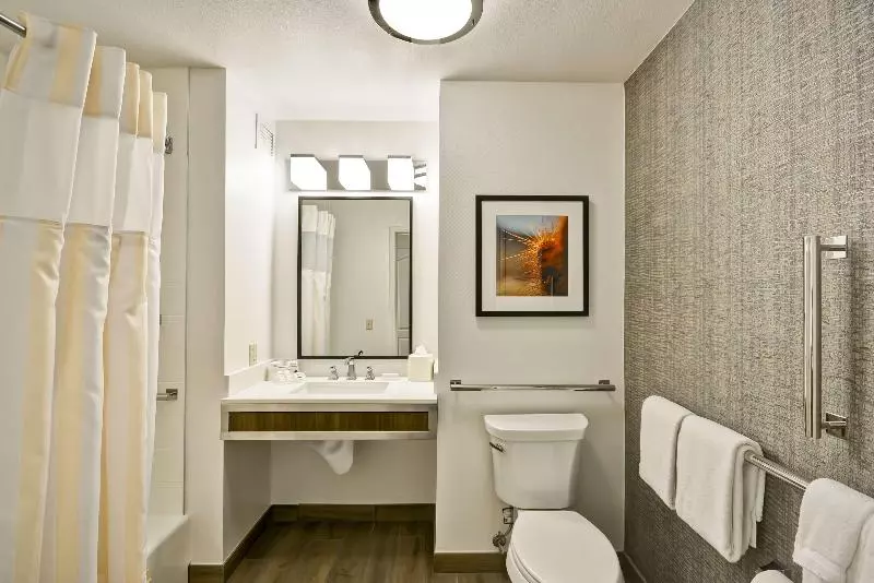 キングサイズベッドのスタンダードルーム, Hilton Garden Inn Austin/round Rock