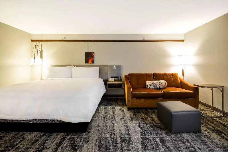 キングサイズベッドのスタンダードルーム, Hilton Garden Inn Austin/round Rock