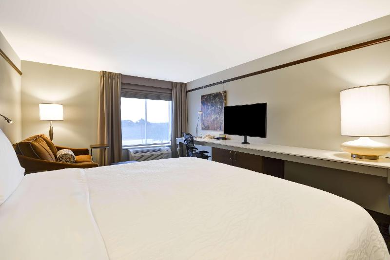 חדר סטנדרט עם מיטת קינג, Hilton Garden Inn Austin/round Rock