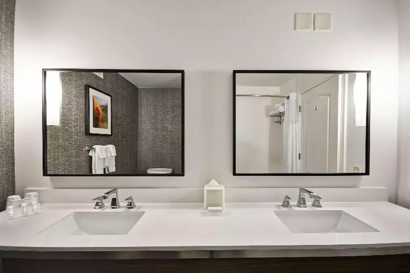 デラックスルーム, Hilton Garden Inn Austin/round Rock