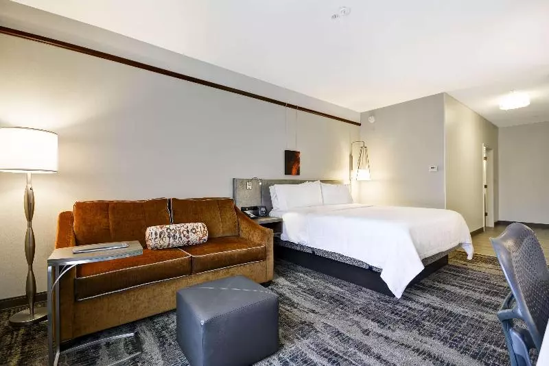 デラックスルーム, Hilton Garden Inn Austin/round Rock
