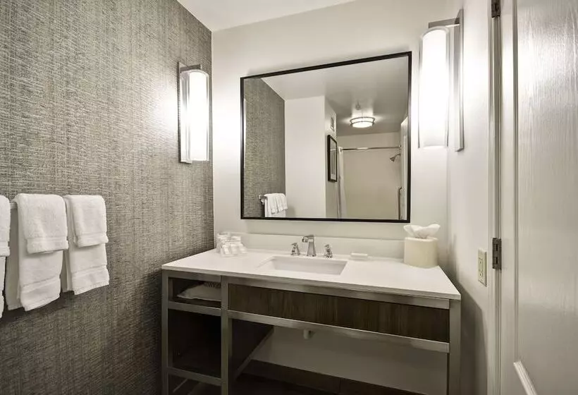デラックスルーム, Hilton Garden Inn Austin/round Rock