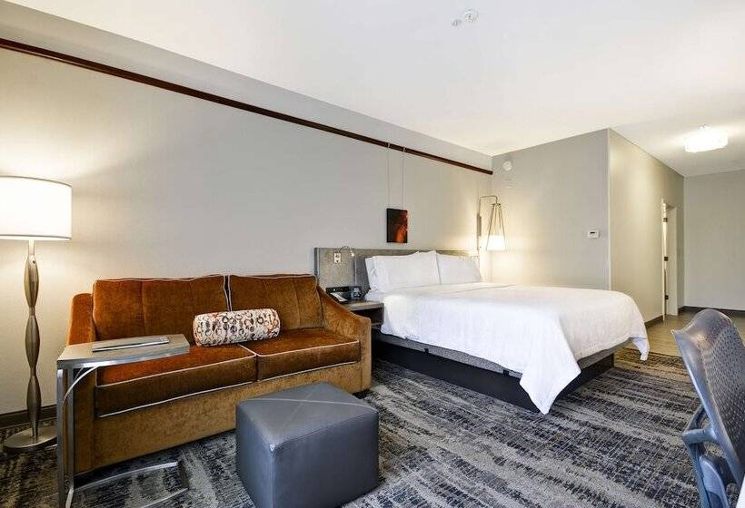 חדר דלוקס, Hilton Garden Inn Austin/round Rock