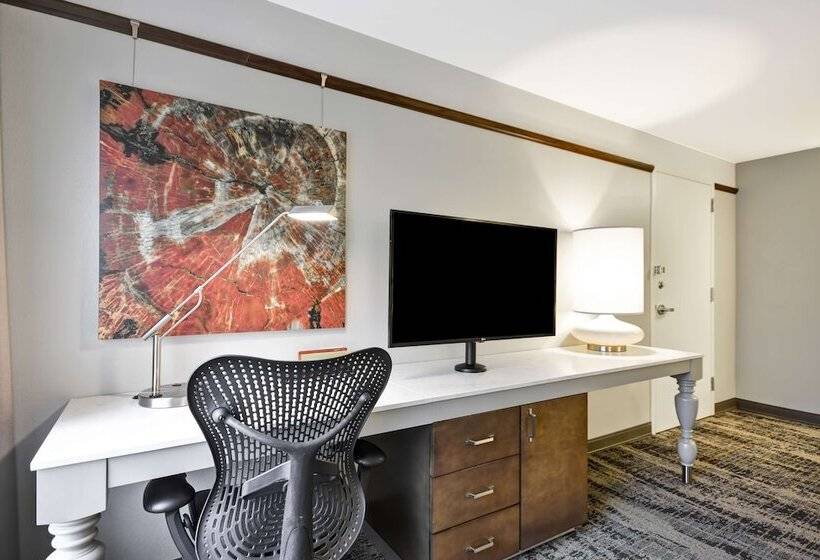 חדר דלוקס, Hilton Garden Inn Austin/round Rock