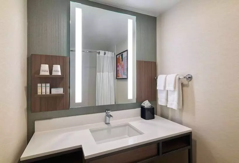 身障者適用スタンダードルーム, Hilton Garden Inn Bloomington