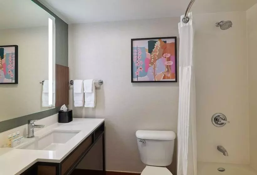 プレミアムルーム, Hilton Garden Inn Bloomington