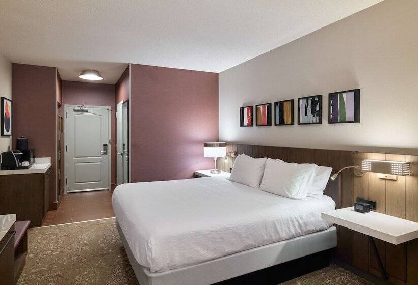 Camera Premium, Hilton Garden Inn Bloomington