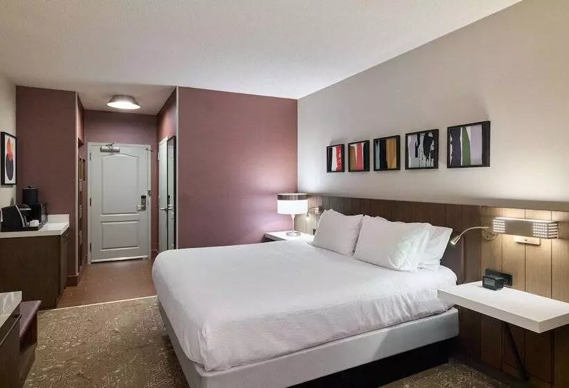 プレミアムルーム, Hilton Garden Inn Bloomington
