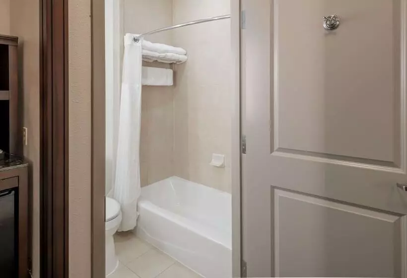 スタンダードルーム, Hilton Garden Inn Granbury
