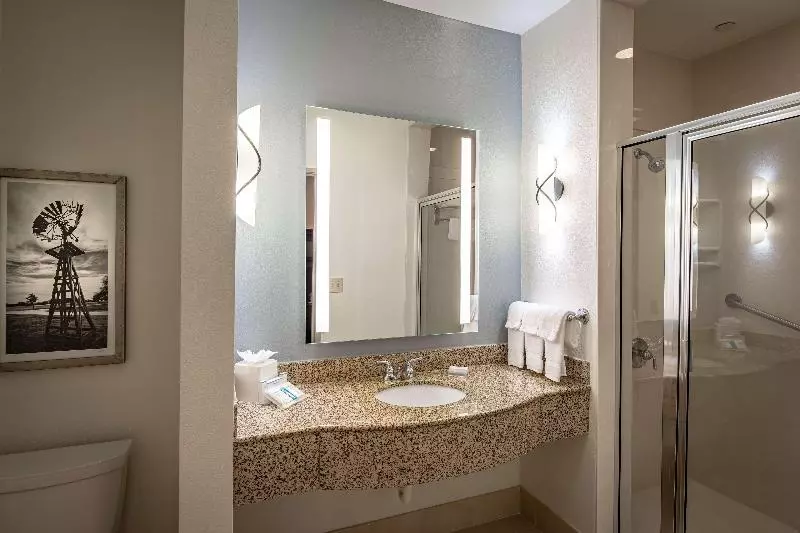 キングサイズベッドのスタンダードルーム, Hilton Garden Inn Granbury