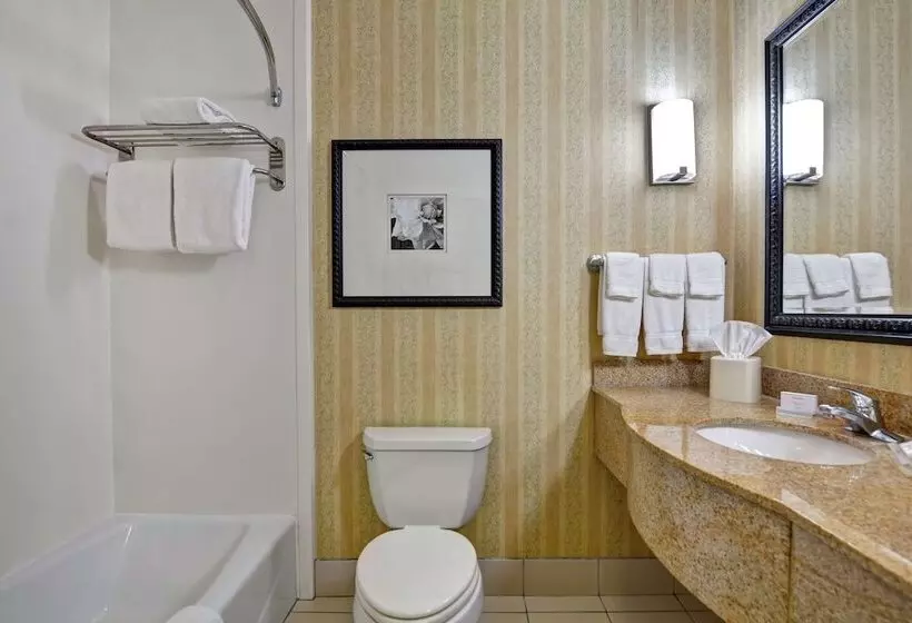 スタンダードルーム, Hilton Garden Inn Hattiesburg