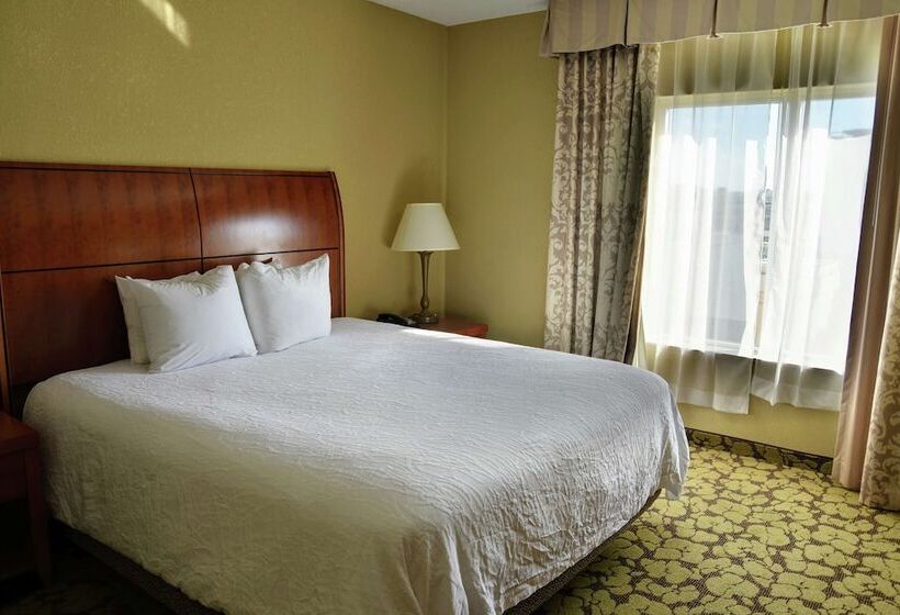 标准间, Hilton Garden Inn Hattiesburg