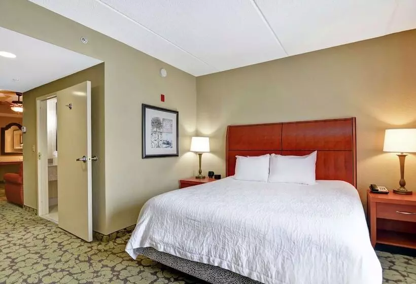 スタンダードルーム, Hilton Garden Inn Hattiesburg