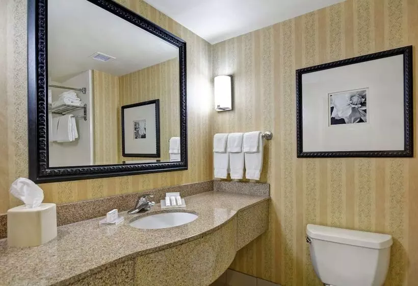 スタンダードルーム, Hilton Garden Inn Hattiesburg