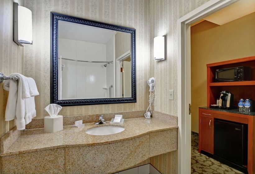 Номер Стандарт Адаптированный для Инвалидов, Hilton Garden Inn Hattiesburg