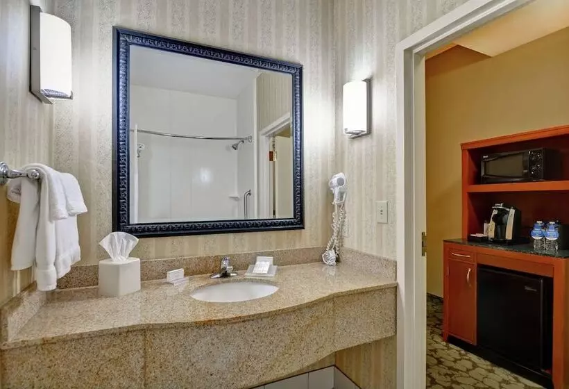 身障者適用スタンダードルーム, Hilton Garden Inn Hattiesburg