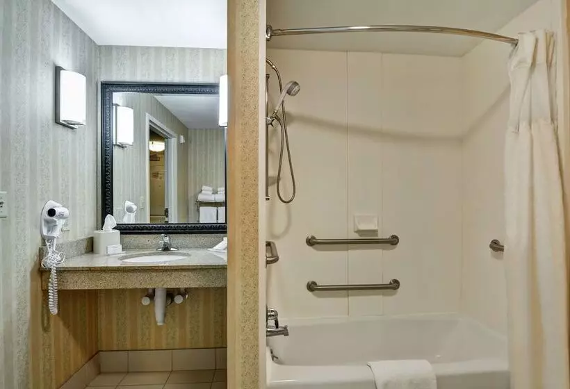 身障者適用スタンダードルーム, Hilton Garden Inn Hattiesburg