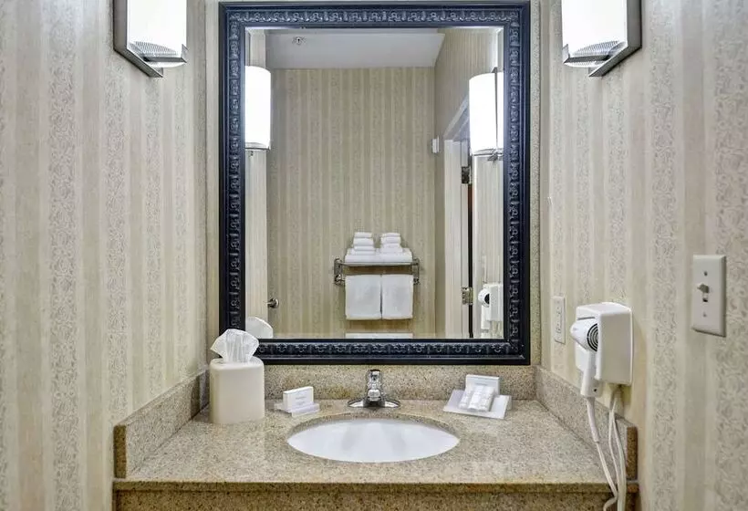 身障者適用スタンダードルーム, Hilton Garden Inn Hattiesburg