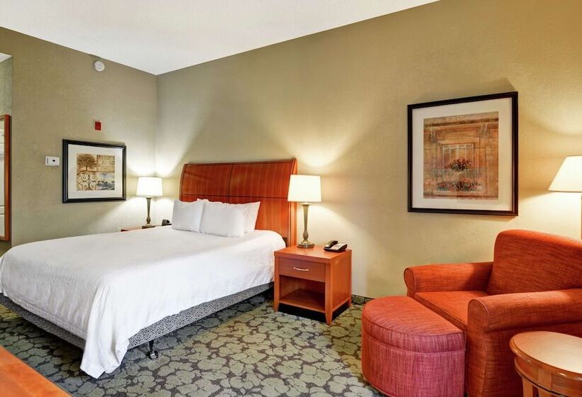 Номер Стандарт Адаптированный для Инвалидов, Hilton Garden Inn Hattiesburg