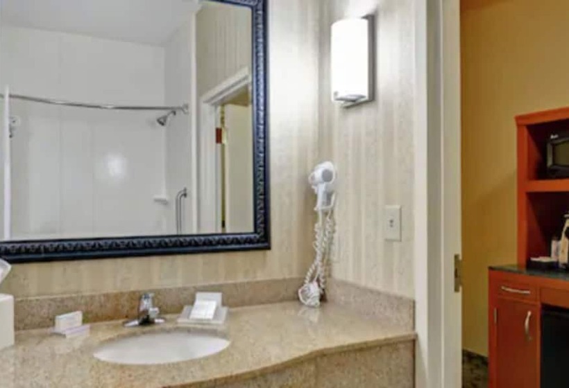 适合残疾人使用的标准间, Hilton Garden Inn Hattiesburg