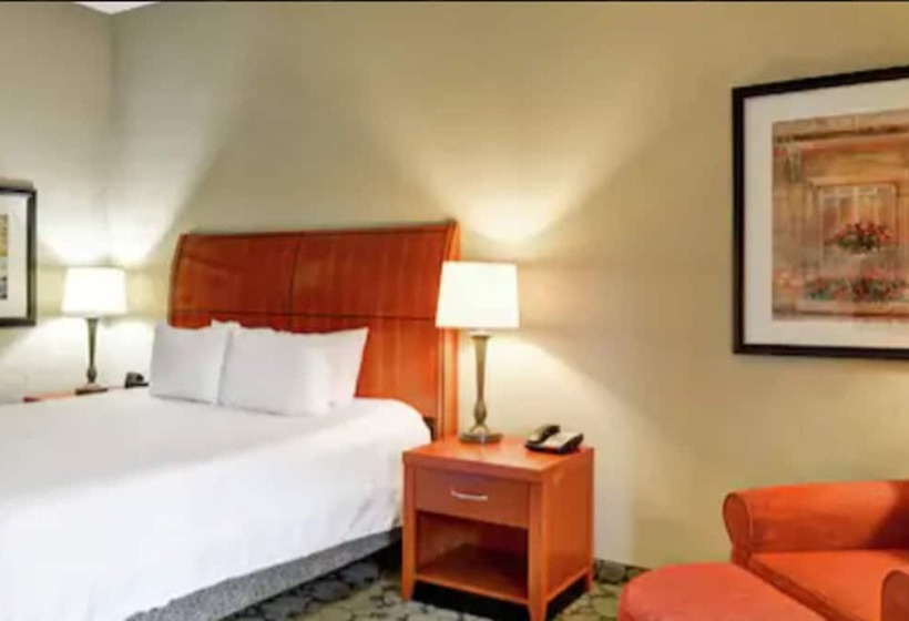 Номер Стандарт Адаптированный для Инвалидов, Hilton Garden Inn Hattiesburg