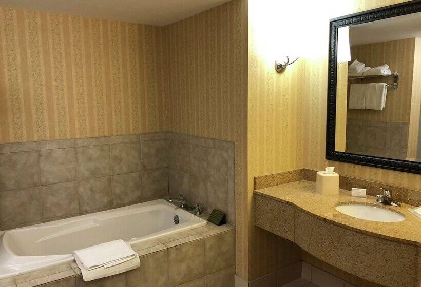 标准间, Hilton Garden Inn Hattiesburg