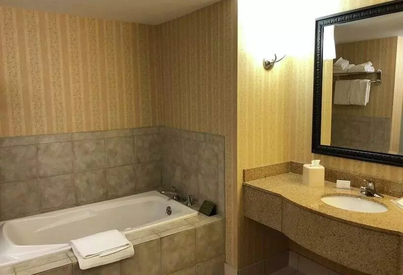 スタンダードルーム, Hilton Garden Inn Hattiesburg