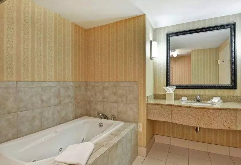 スタンダードルーム, Hilton Garden Inn Hattiesburg