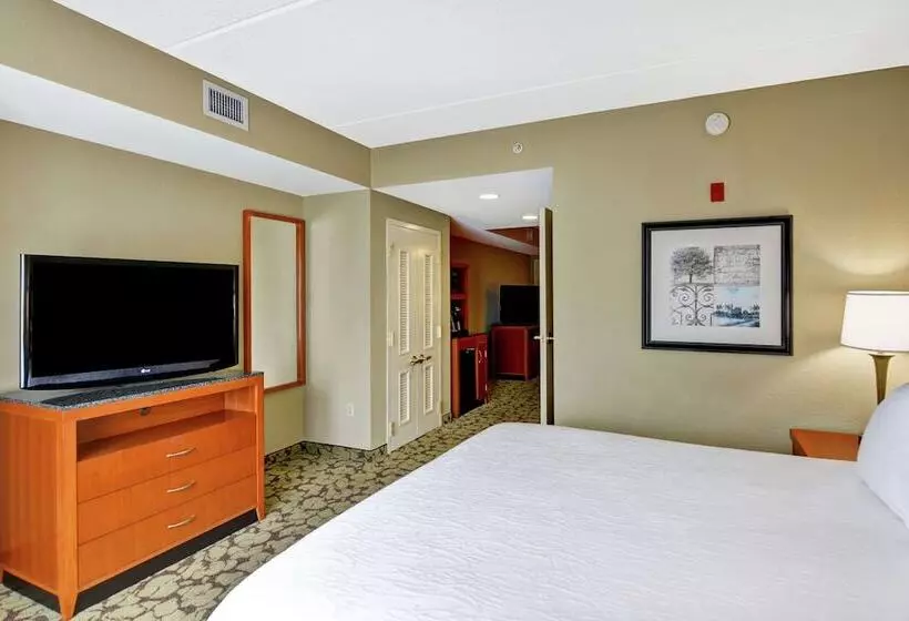 身障者適用スタンダードルーム, Hilton Garden Inn Hattiesburg