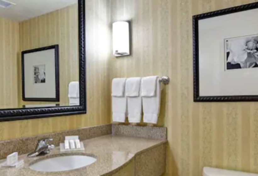 Номер Стандарт Адаптированный для Инвалидов, Hilton Garden Inn Hattiesburg