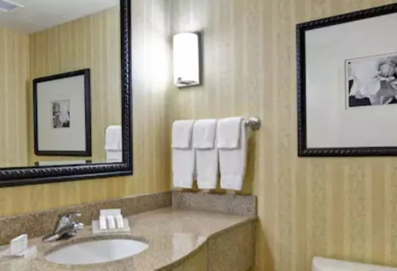 身障者適用スタンダードルーム, Hilton Garden Inn Hattiesburg