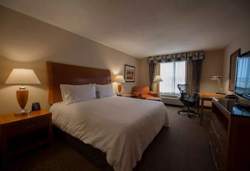 スタンダードルーム, Hilton Garden Inn Jackson/madison