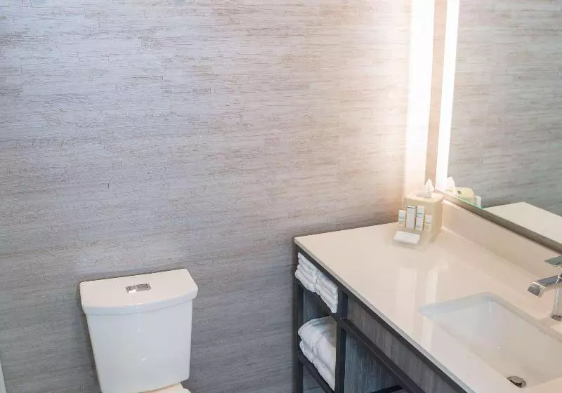 Standard-huone King-vuode, Hilton Garden Inn Los Angeles Montebello