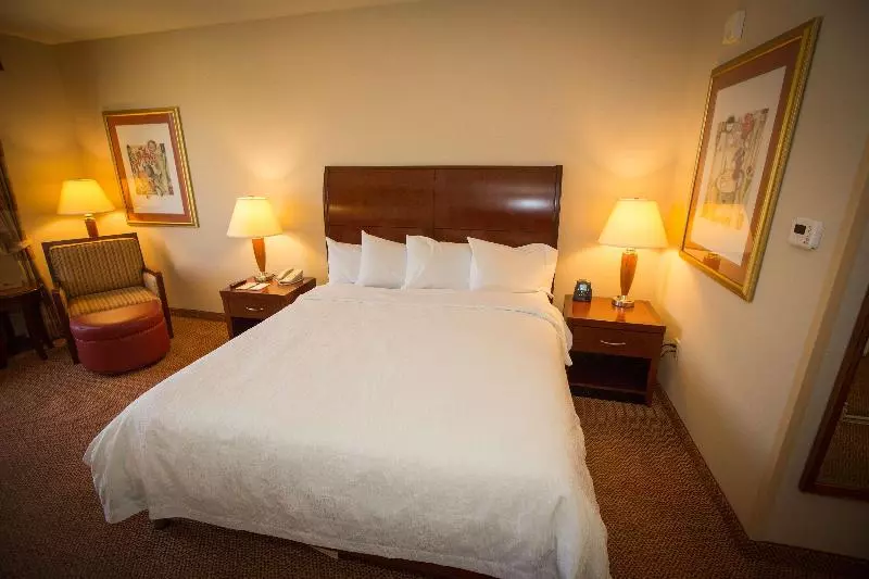 Juniorsviitti King-vuode, Hilton Garden Inn Los Angeles Montebello