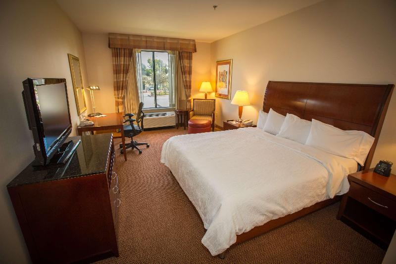 جناح جونيور سرير كينج, Hilton Garden Inn Los Angeles Montebello