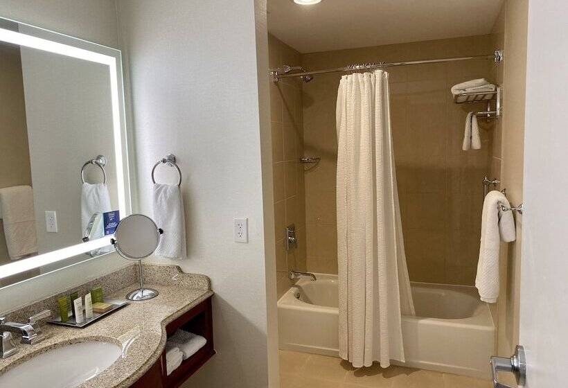 带2个双人床的标准工作室, Hilton President Kansas City
