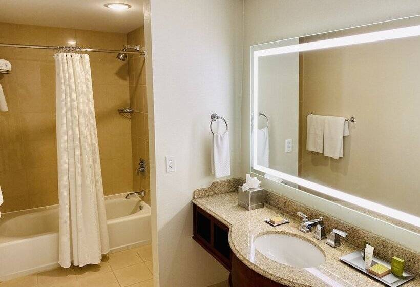 غرفه قياسيه سريرين مزدوجين, Hilton President Kansas City