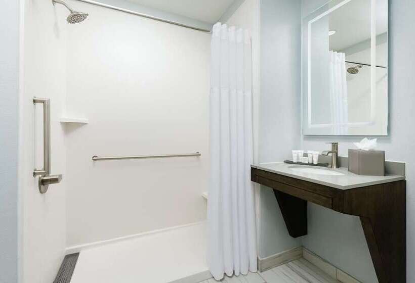 غرفة قياسية سرير كينج, Hilton President Kansas City