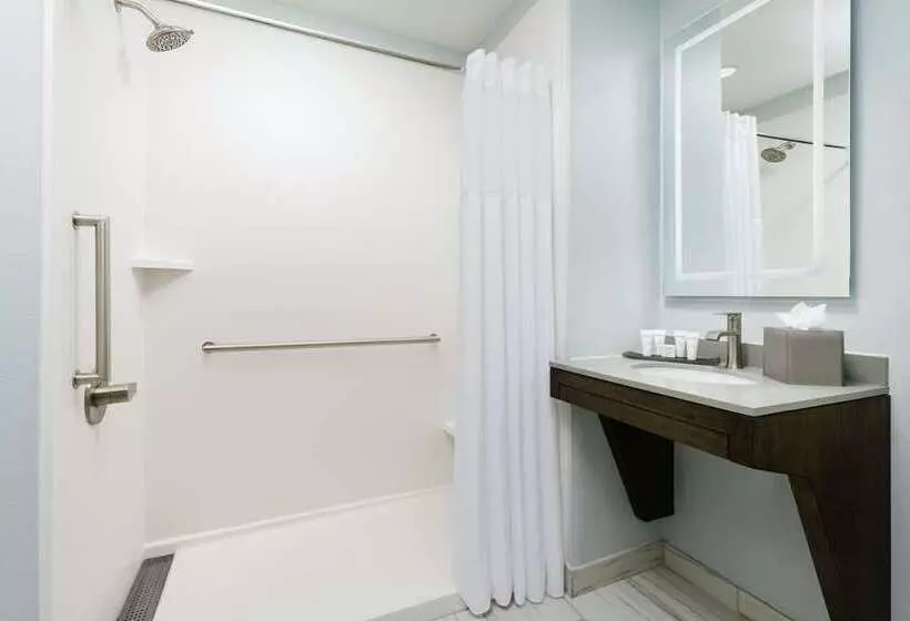 اتاق استاندارد با تخت بزرگ, Hilton President Kansas City
