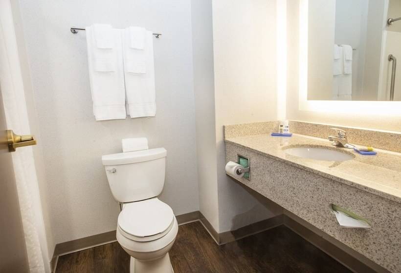 Люкс, Holiday Inn Express Hotel & Suites Bethlehem Airport/allentown Area, An Ihg