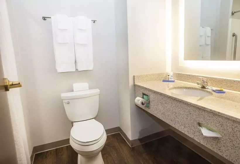 سوییت, Holiday Inn Express Hotel & Suites Bethlehem Airport/allentown Area, An Ihg