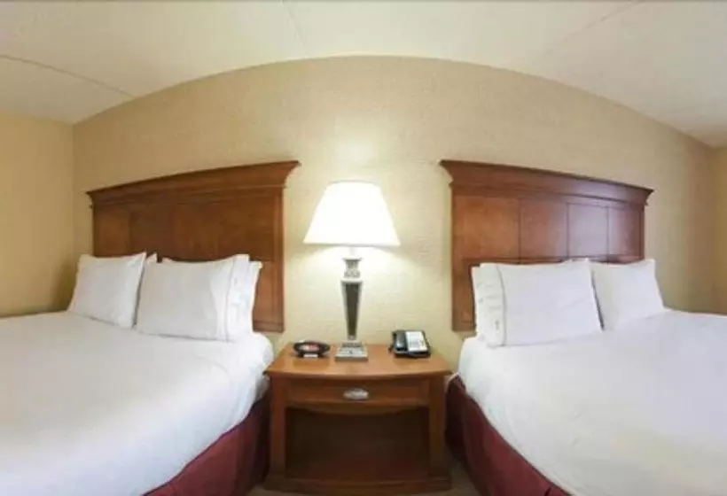 スタンダードルーム, Holiday Inn Express & Suites Bloomington, An Ihg