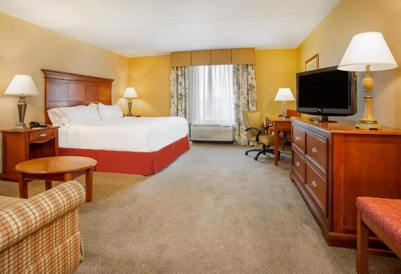 キングサイズベッドのエクゼクティブルーム, Holiday Inn Express & Suites Bloomington, An Ihg