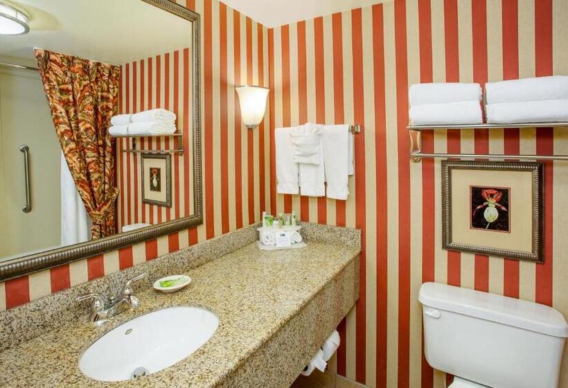 스위트 킹사이즈 침대, Holiday Inn Express & Suites Bloomington, An Ihg