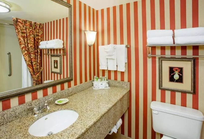 キングサイズベッドのスイートルーム, Holiday Inn Express & Suites Bloomington, An Ihg