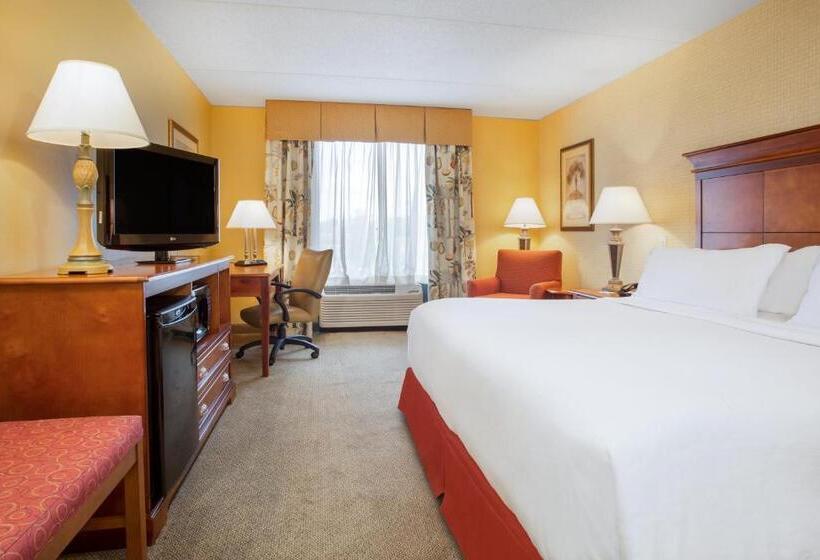 장애인을 위한 킹사이즈 침대 스탠다드 룸, Holiday Inn Express & Suites Bloomington, An Ihg