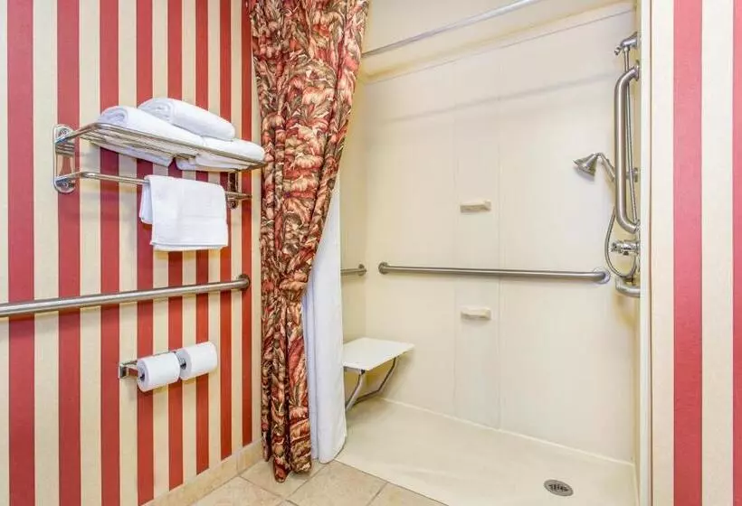 身障者適用キングサイズベッドルーム, Holiday Inn Express & Suites Bloomington, An Ihg
